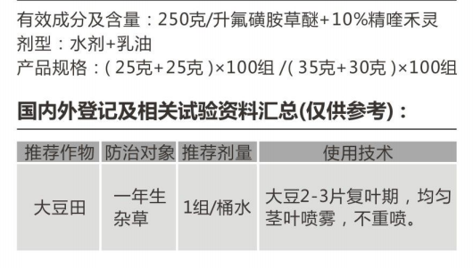 盈辉豆禾谐