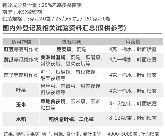 盈辉百威定